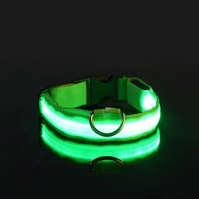 Collier Lumineux Clignotant pour Chien