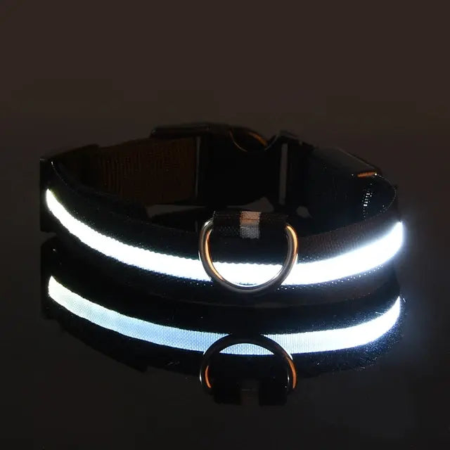 Collier Lumineux Clignotant pour Chien