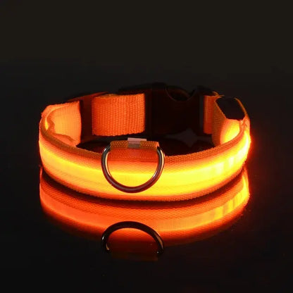 Collier Lumineux Clignotant pour Chien