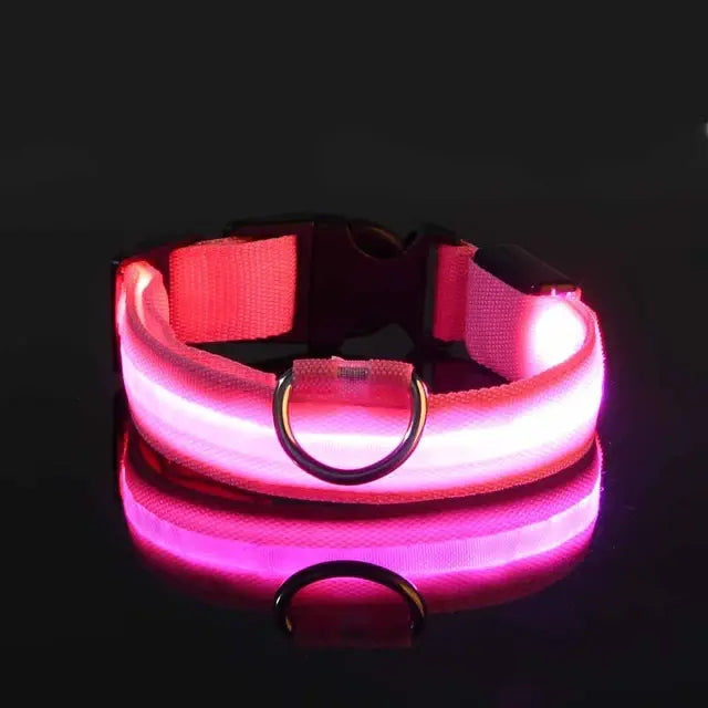 Collier Lumineux Clignotant pour Chien