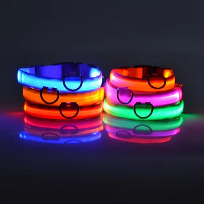 Collier Lumineux Clignotant pour Chien