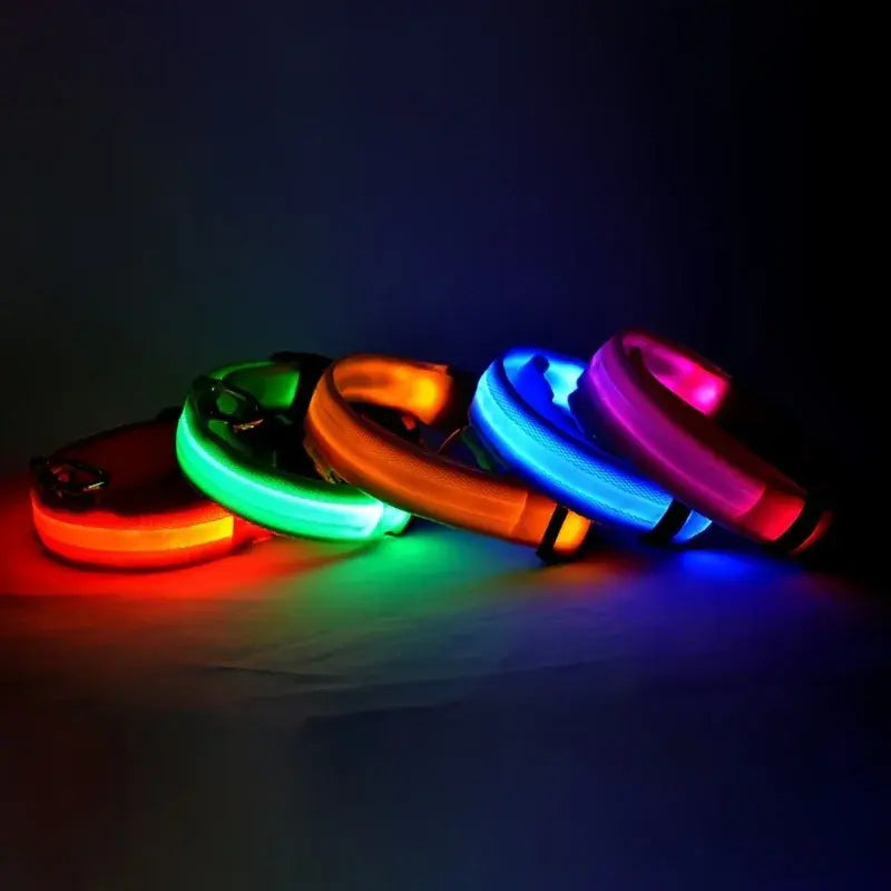 Collier Lumineux Clignotant pour Chien