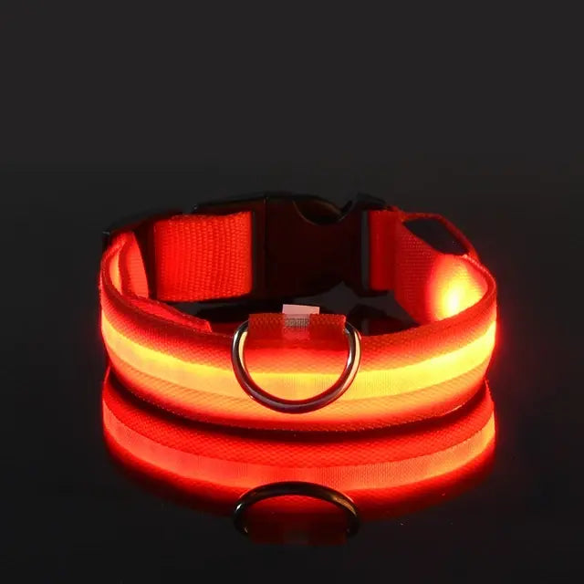 Collier Lumineux Clignotant pour Chien