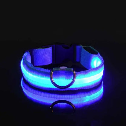 Collier Lumineux Clignotant pour Chien