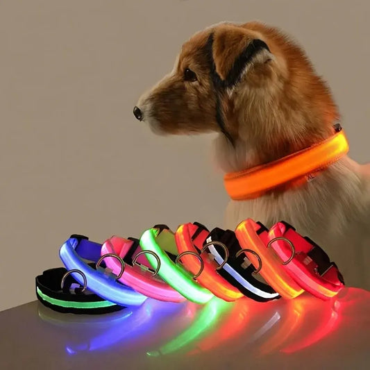 Collier Lumineux Clignotant pour Chien